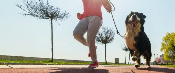 hardlopen met hond