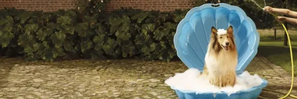 Beaphar Shampoo range for all pets