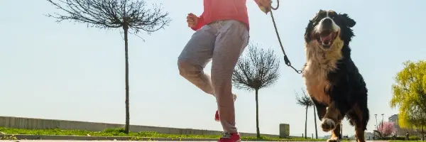 hardlopen met hond